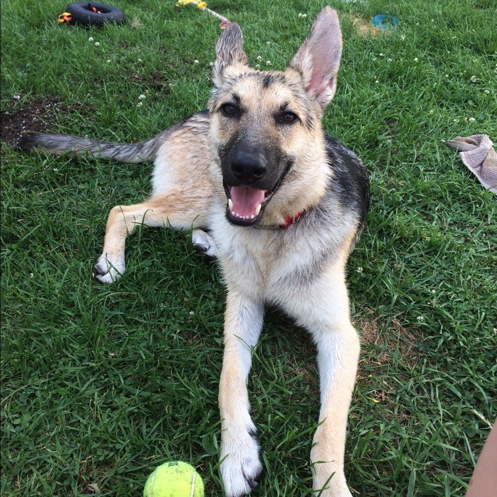 Meet your Posher, Brian